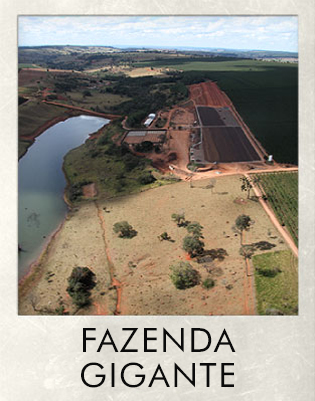 polaroid8.jpg polaroid8.jpg