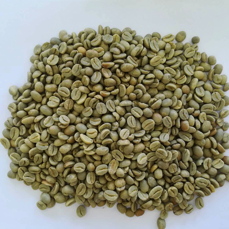 黃波旁 生豆圖.jpg 黃波旁 生豆圖.jpg