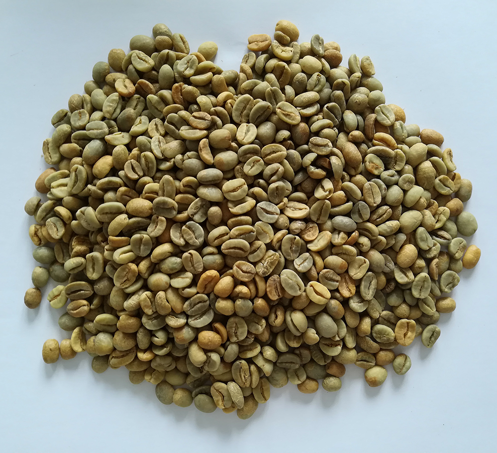 72小時 生豆圖.jpg