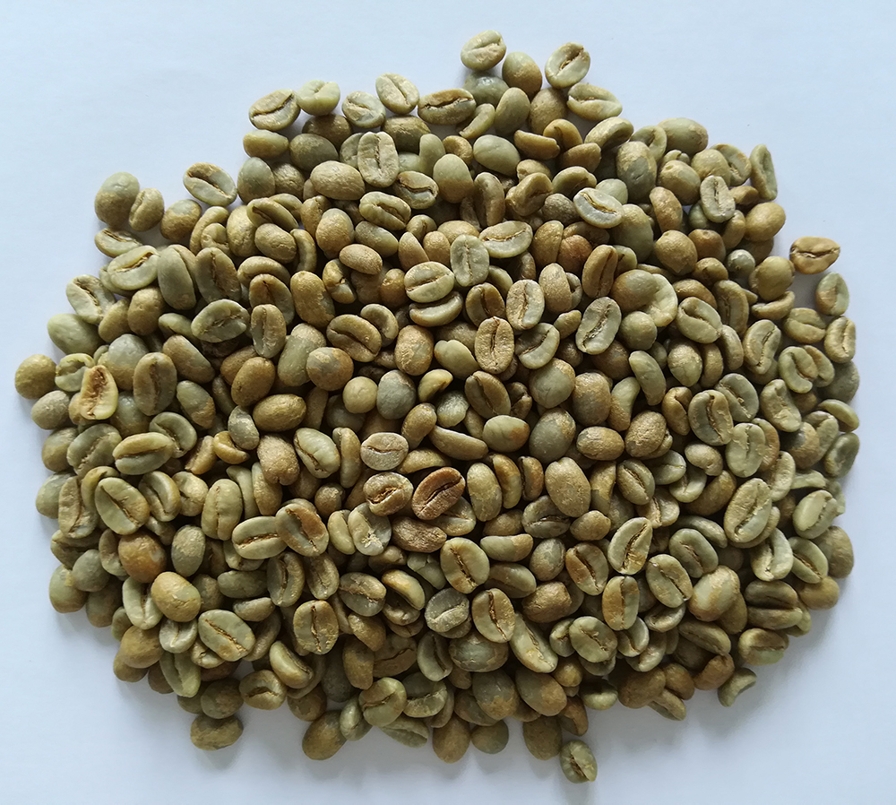 雙幽夢(mèng)影莊園 240小時(shí) 生豆圖.jpg 雙幽夢(mèng)影莊園 240小時(shí) 生豆圖.jpg