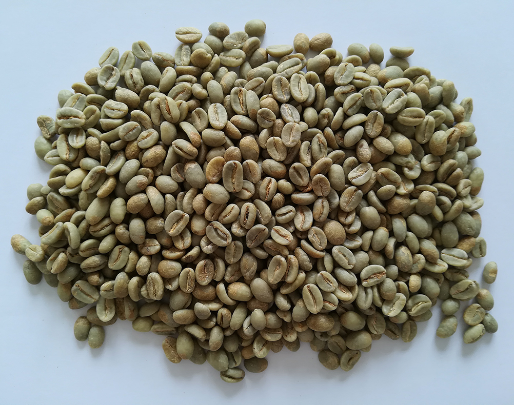 海灘莊園 粉紅波旁 72小時厭氧處理 生豆圖.jpg 海灘莊園 粉紅波旁 72小時厭氧處理 生豆圖.jpg