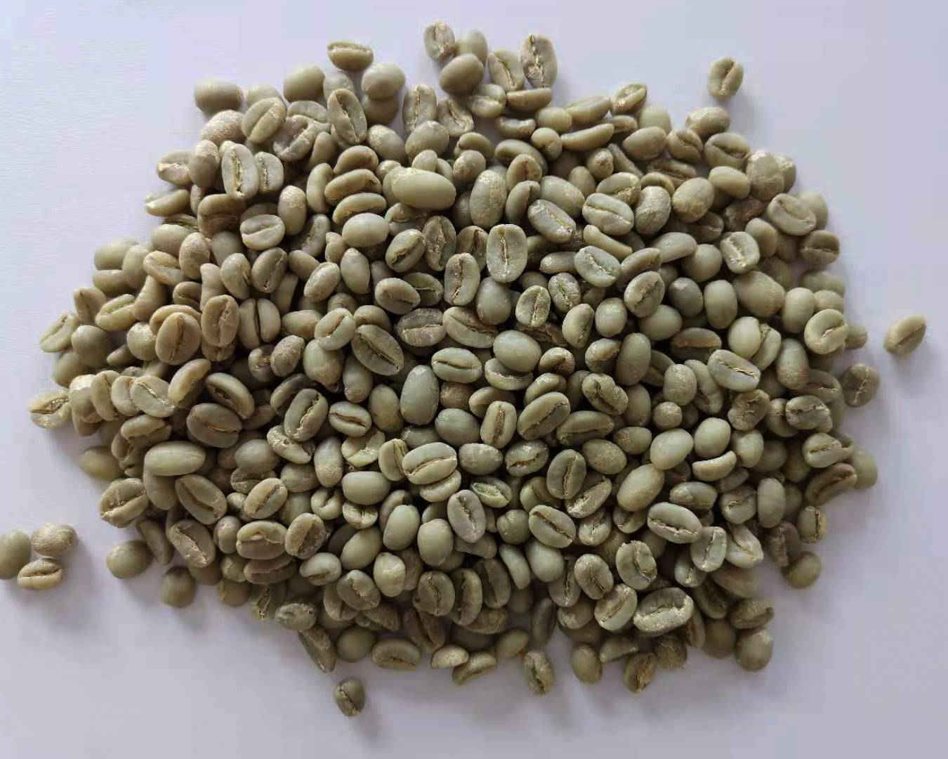 生豆.jpg 生豆.jpg