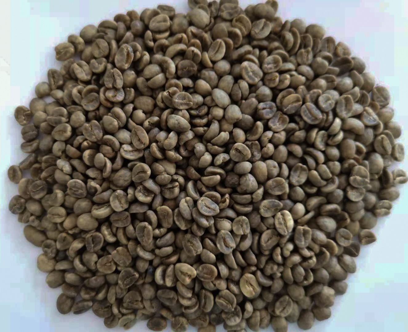 生豆.jpg 生豆.jpg