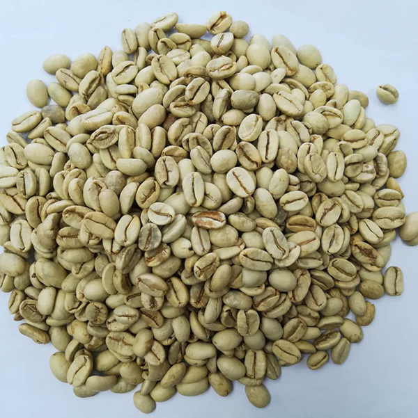 生豆.jpg 生豆.jpg