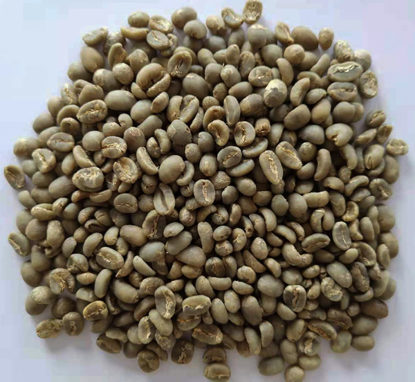 生豆圖.jpg 生豆圖.jpg