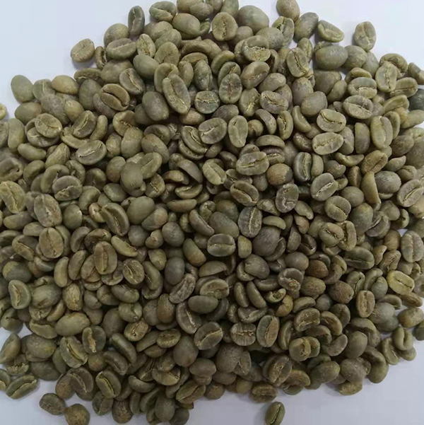 生豆.jpg 生豆.jpg