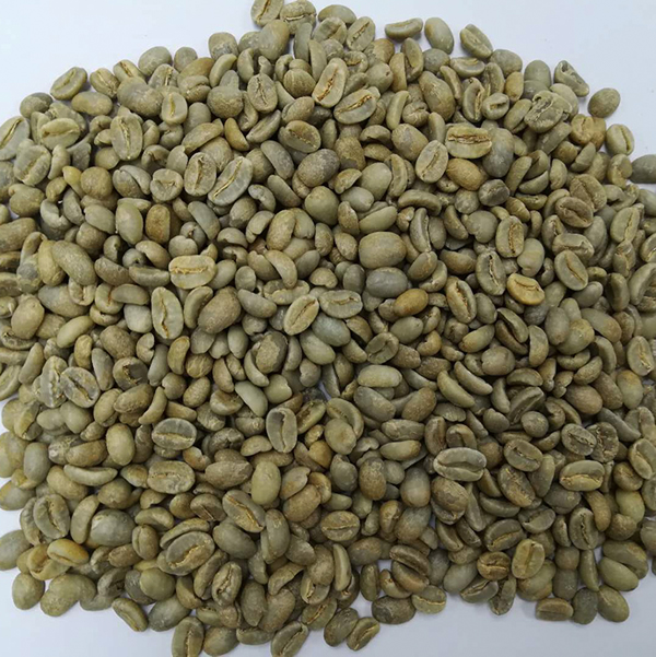 生豆.jpg 生豆.jpg