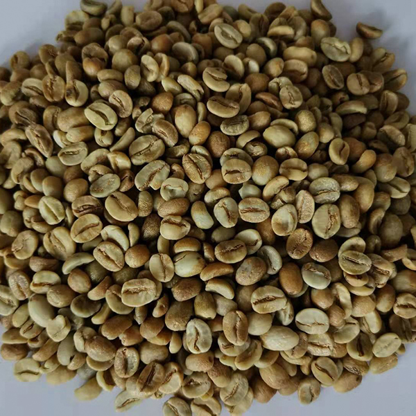 生豆.jpg 生豆.jpg