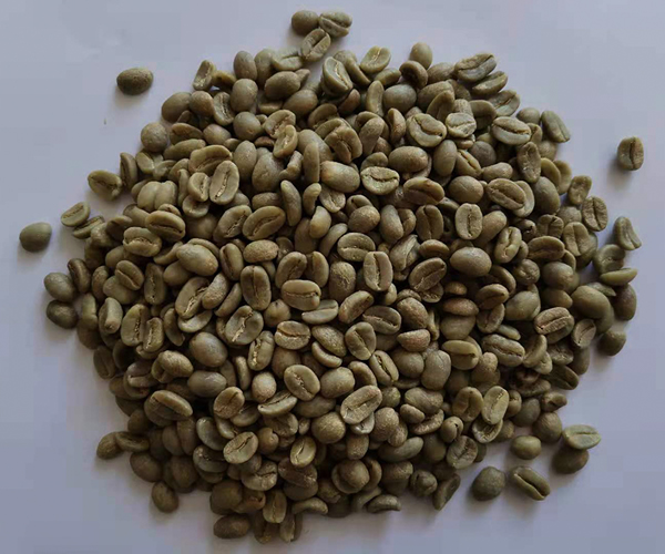 生豆圖.jpg 生豆圖.jpg