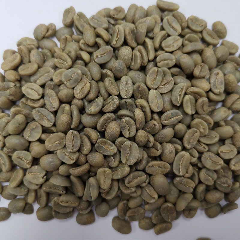 生豆圖.jpg 生豆圖.jpg